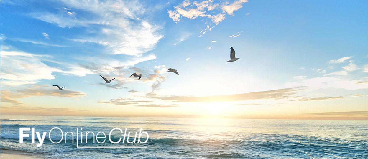 flyonline1248x540