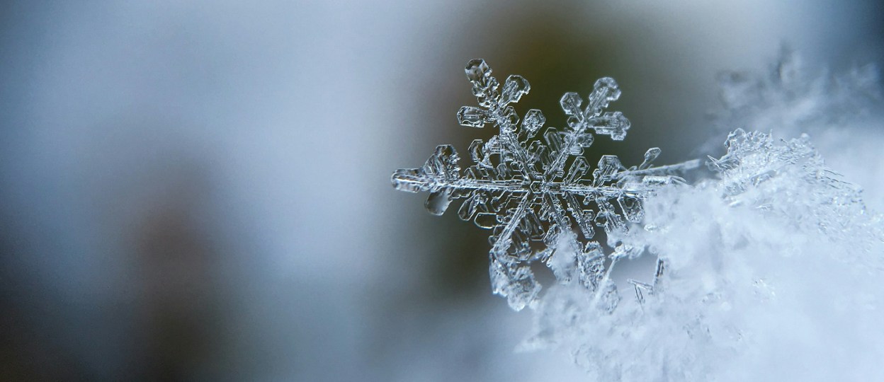 Snowflake on a bed of snow
