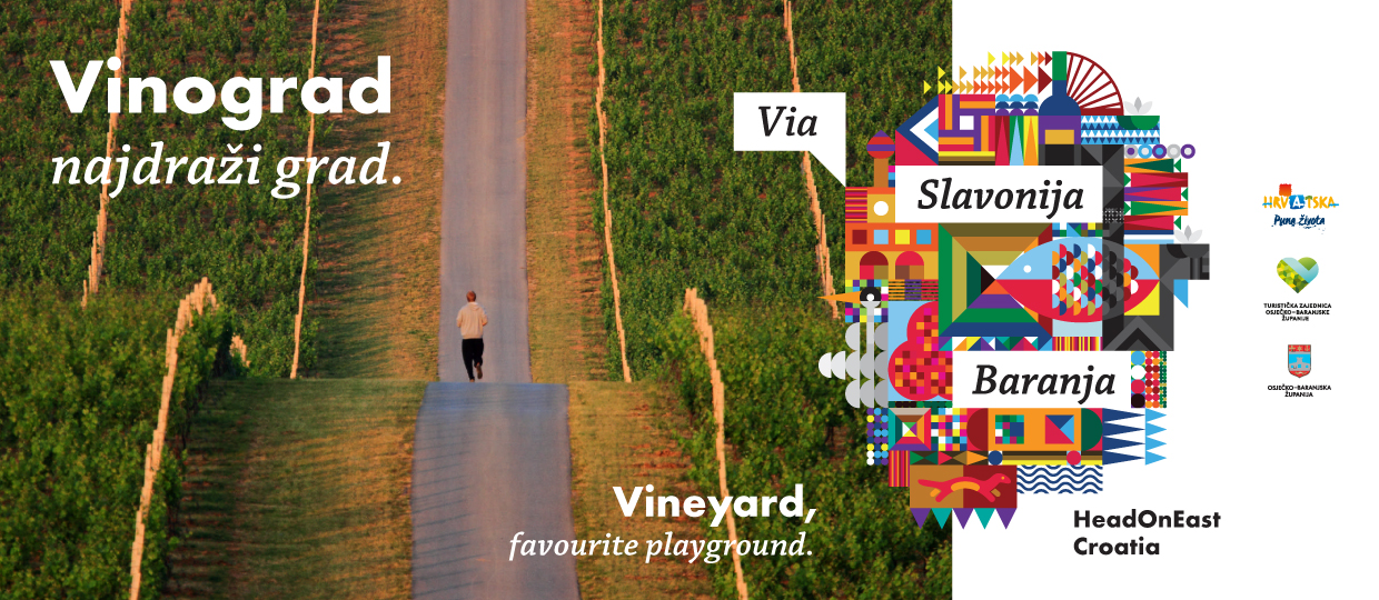 Vineyard, favourite playground!