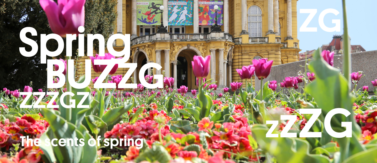 Spring BuzZg
